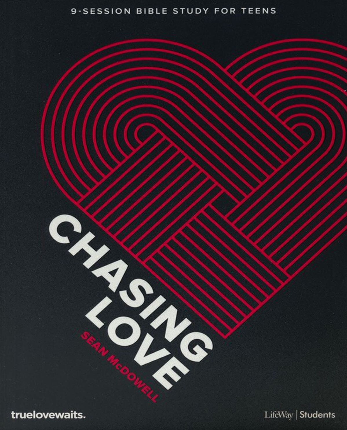 chasing-love-study-book2