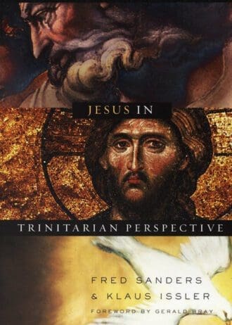 trinitarian-perspective2