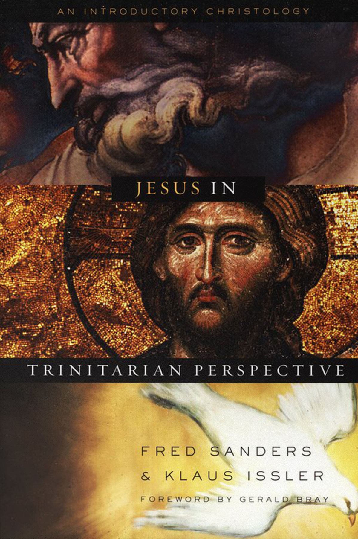 trinitarian-perspective2