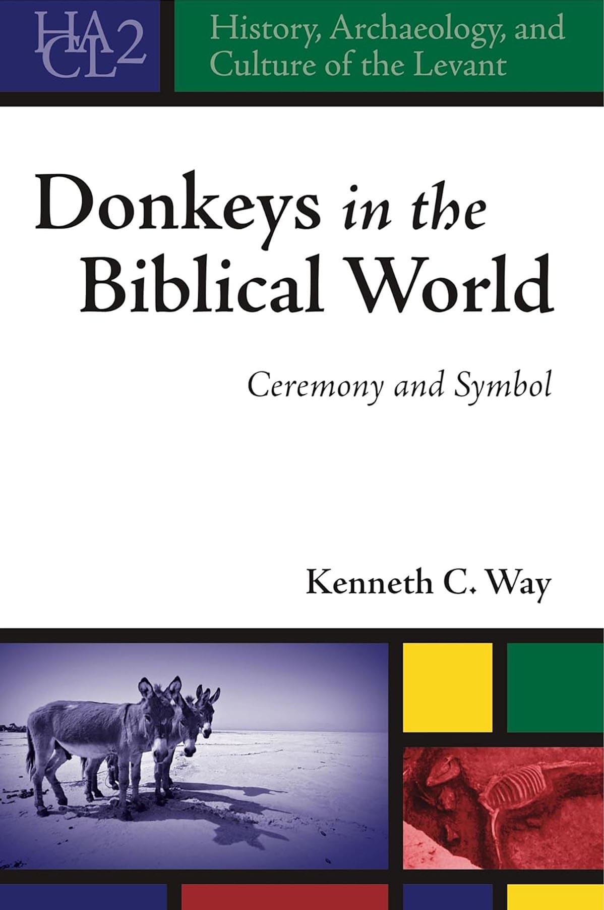 donkeys-biblical-world